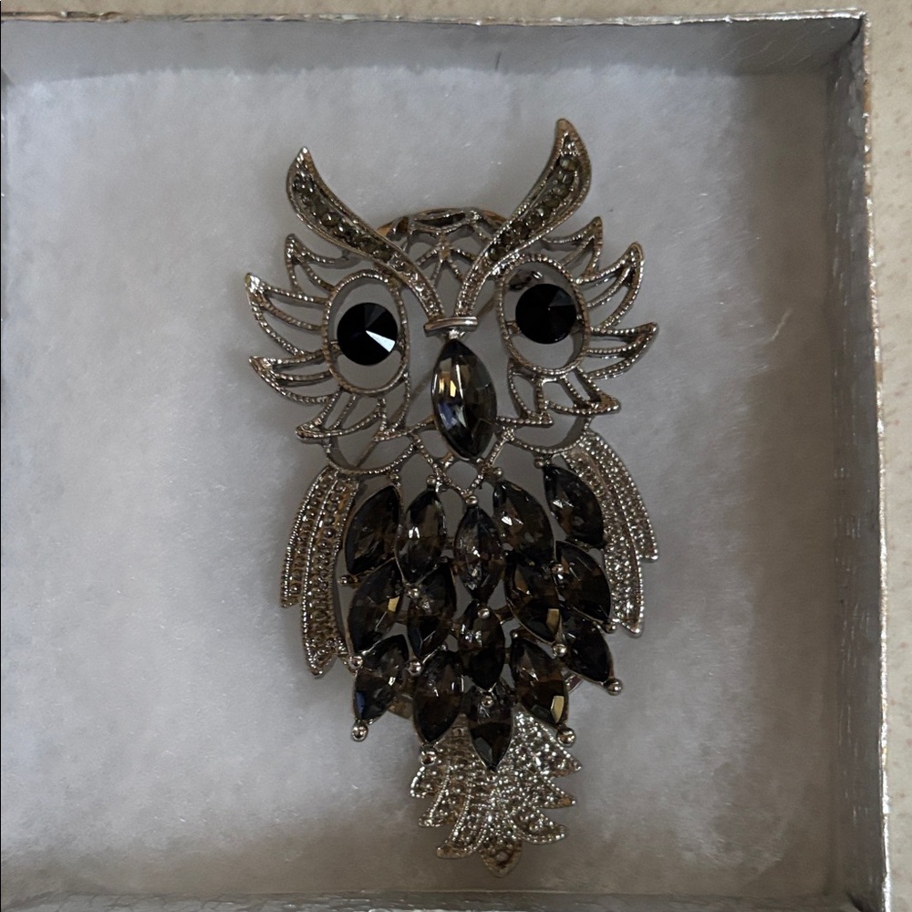 Elegant Silver Owl Brooch